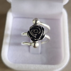 Anillos